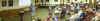 DSC00726 (Large).JPG (55610 bytes)